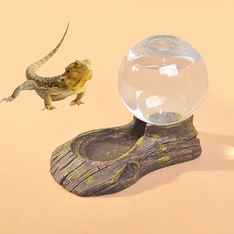 Bearded Dragon Water Bowl