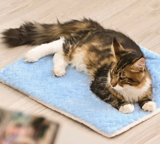 Cat Electric Blanket