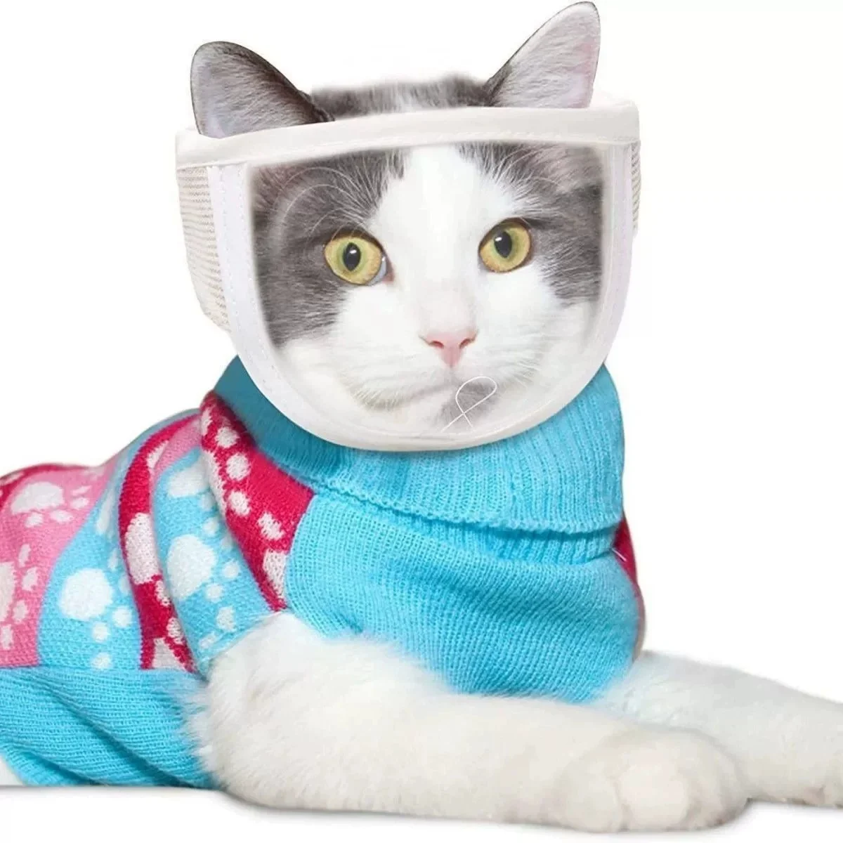 Cat Muzzle