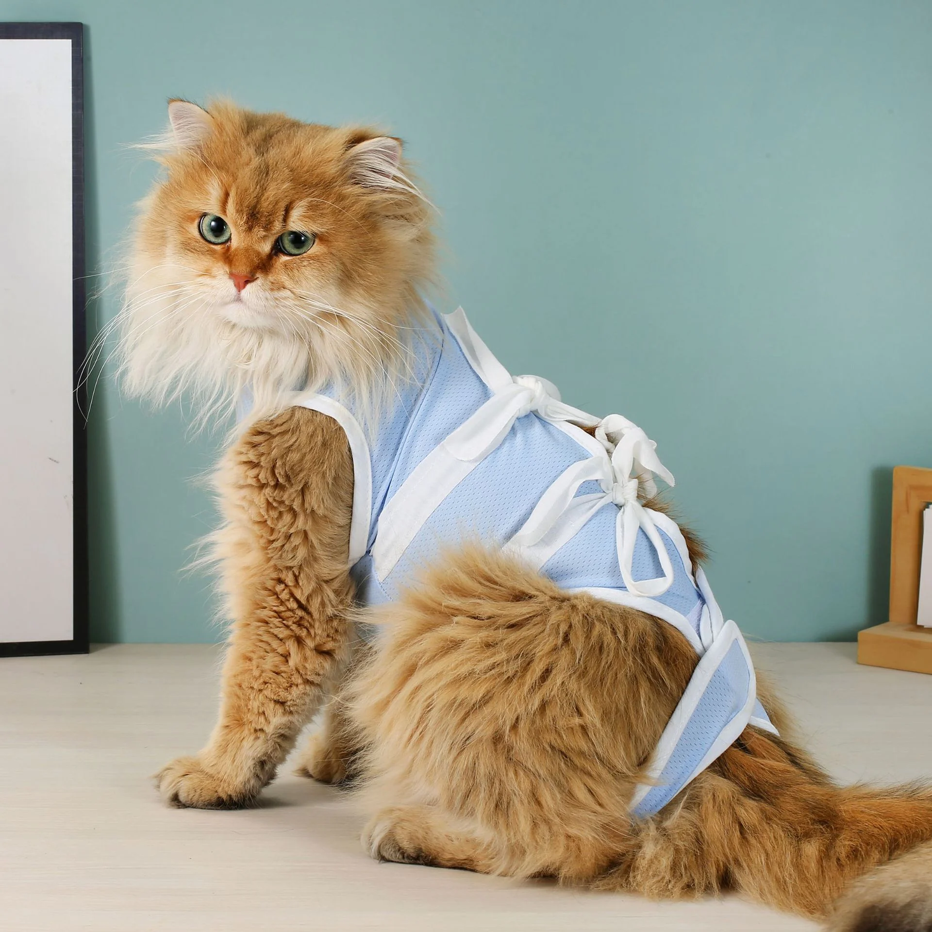 Cat Surgery Recovery Suit