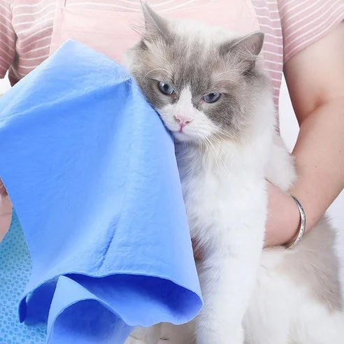 Cat Towel