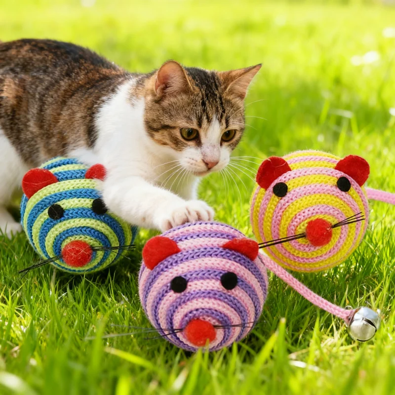 Cat Toy Mouse