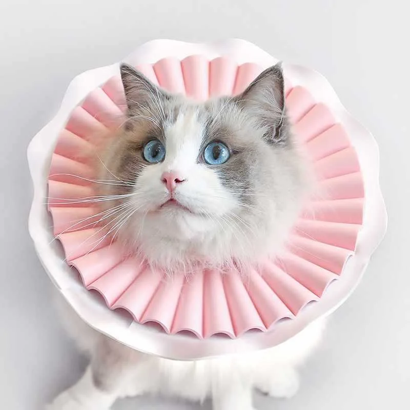 Cat Vet Collar Cone
