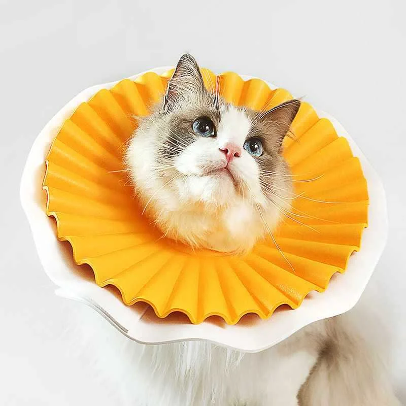 Cat Vet Collar Cone - Image 4