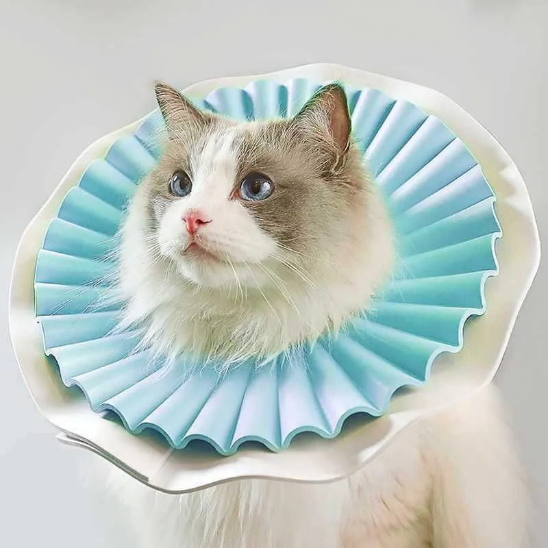 Cat Vet Collar Cone - Image 3