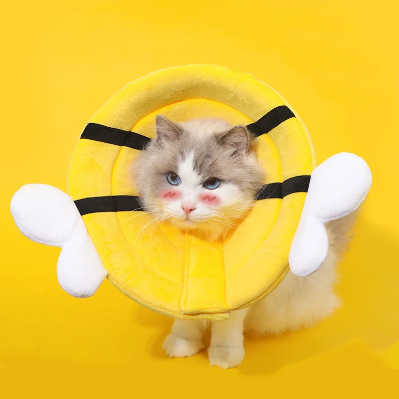 Cat With Elizabethan Collar