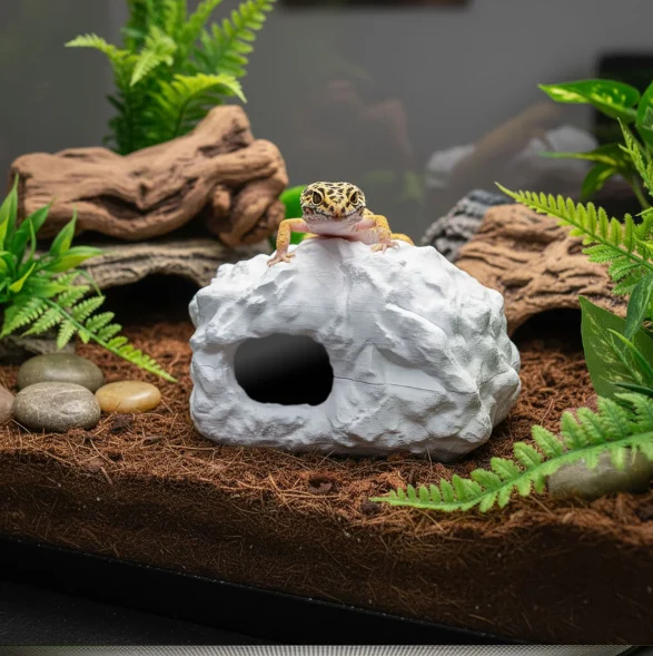 Gecko Moist Hide