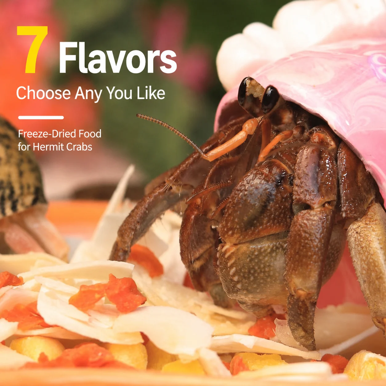 Hermit Crab Food