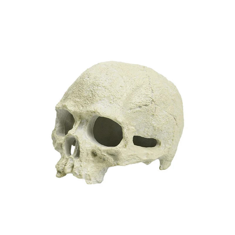 Hide For Snake - Image 3