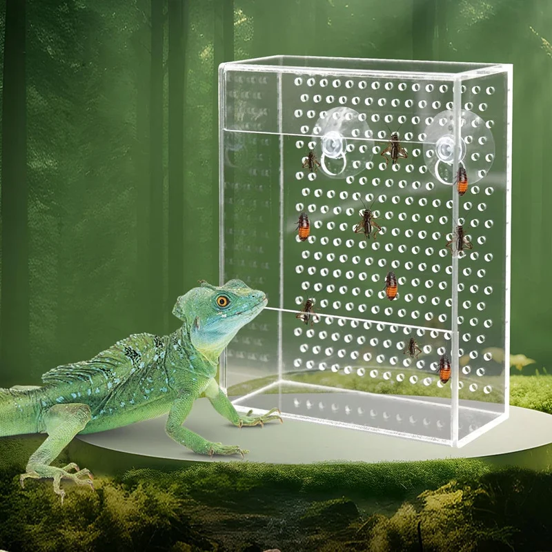 Lizard Feeder