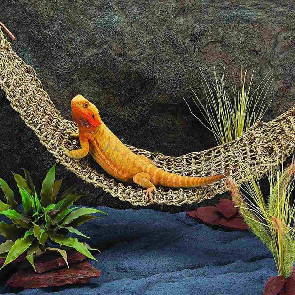 Lizard Hammock