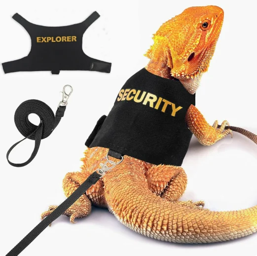 Lizard Leash