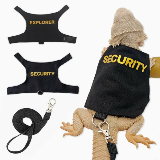 Lizard Leash
