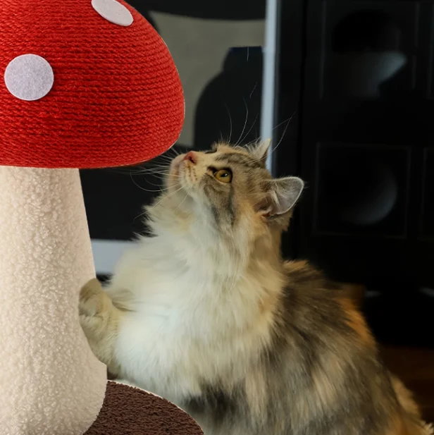 Mushroom Cat Scratcher