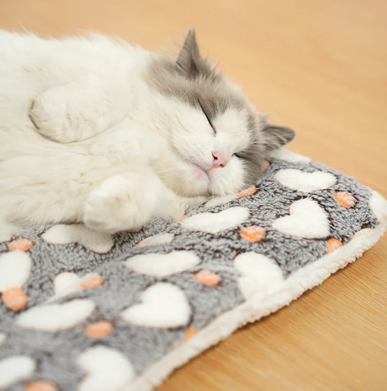 Outdoor Cat Warming Pad