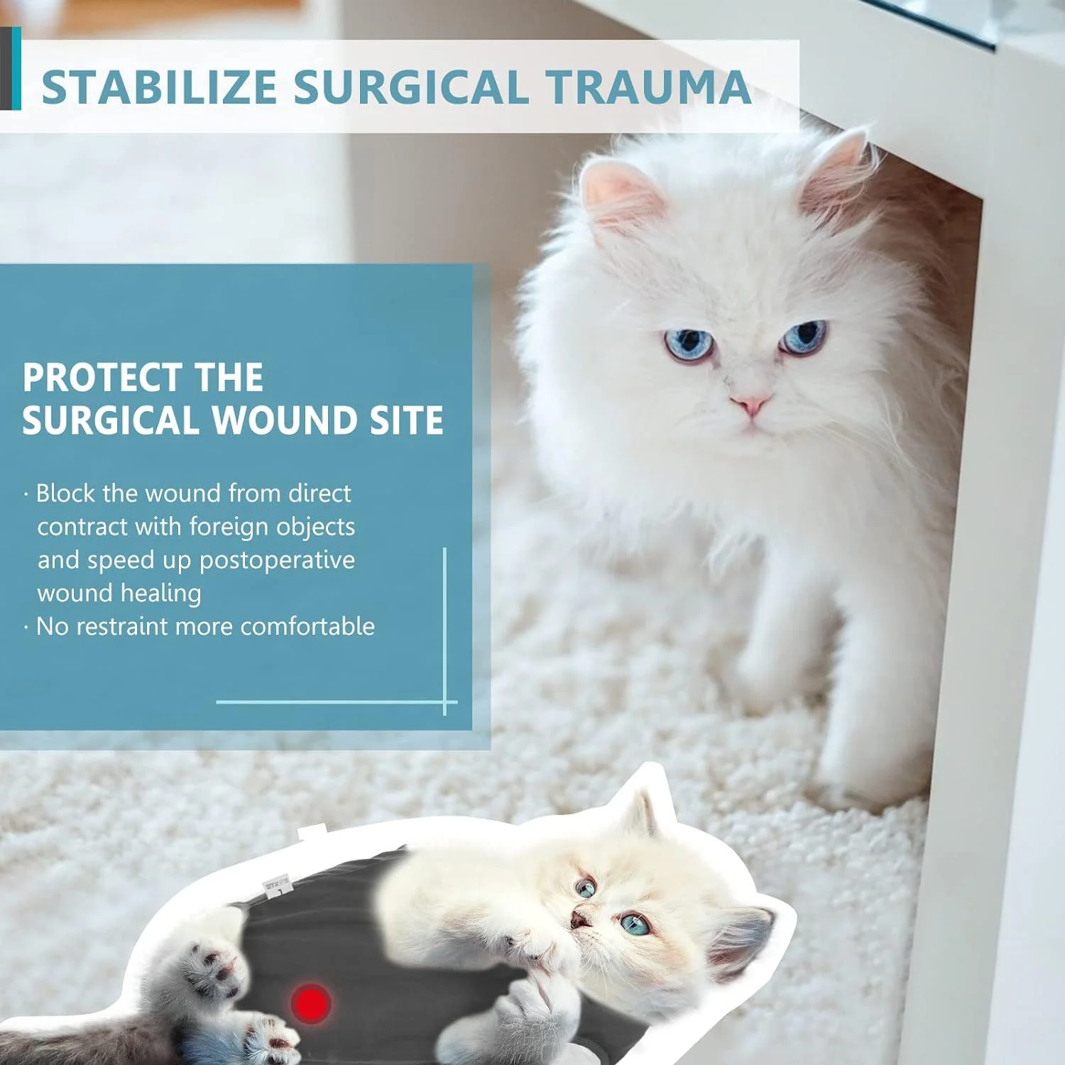 Recovery Suit For Cats - Image 3