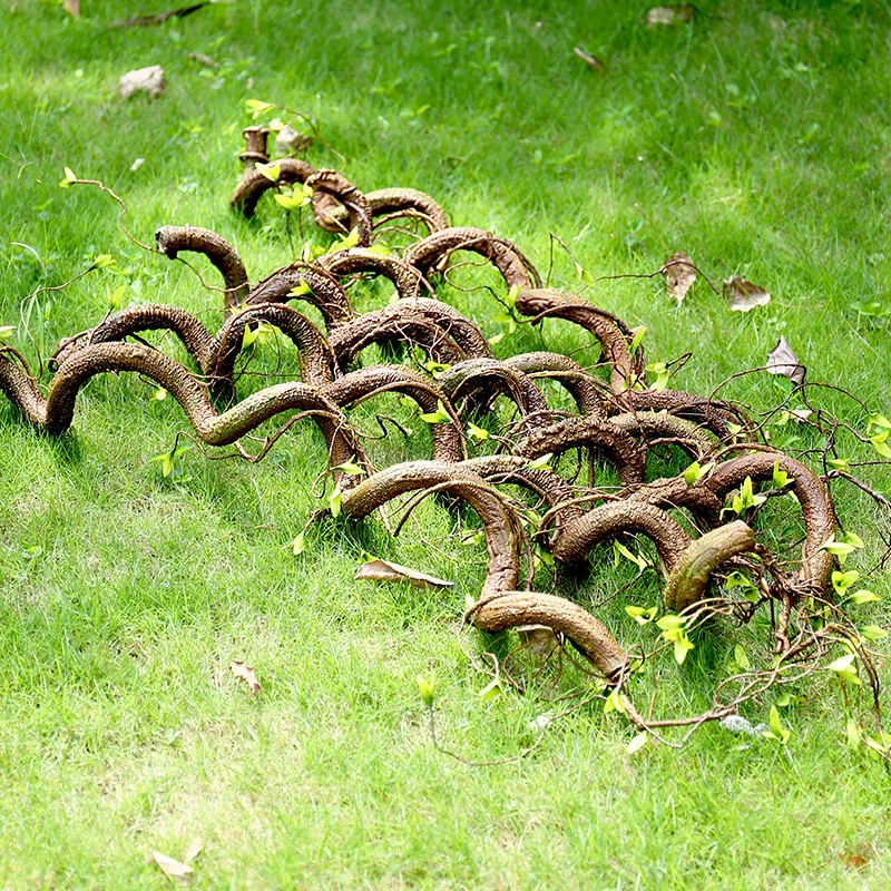 Reptile Branches