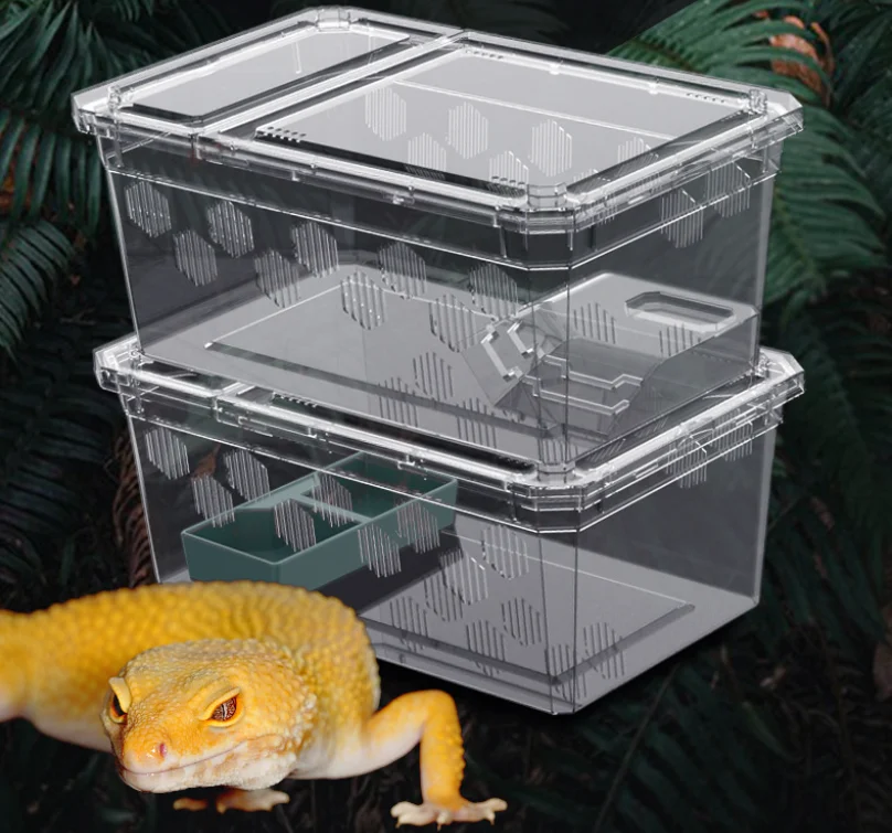 Reptile Carrier