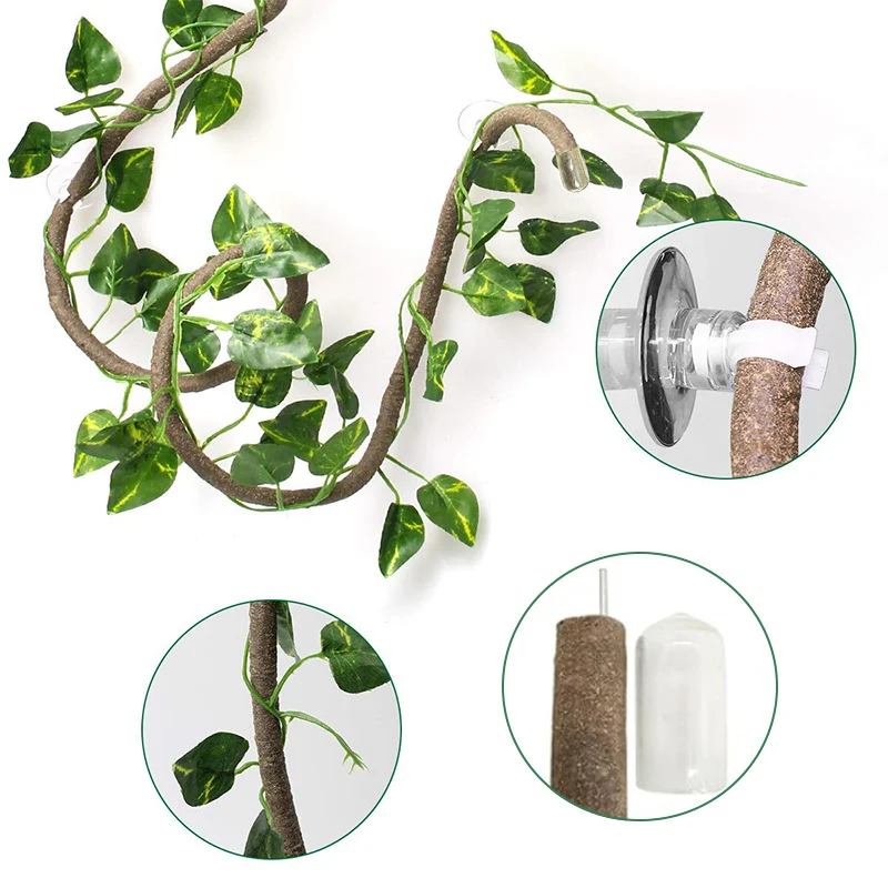 Reptile Climbing Branches - Image 4