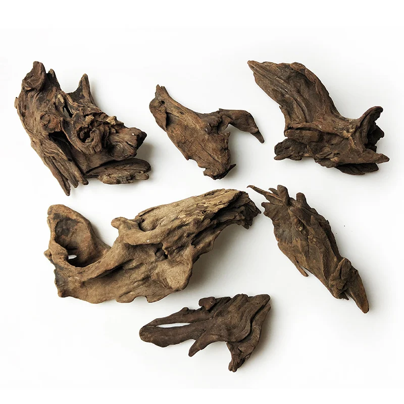 Reptile Driftwood - Image 4