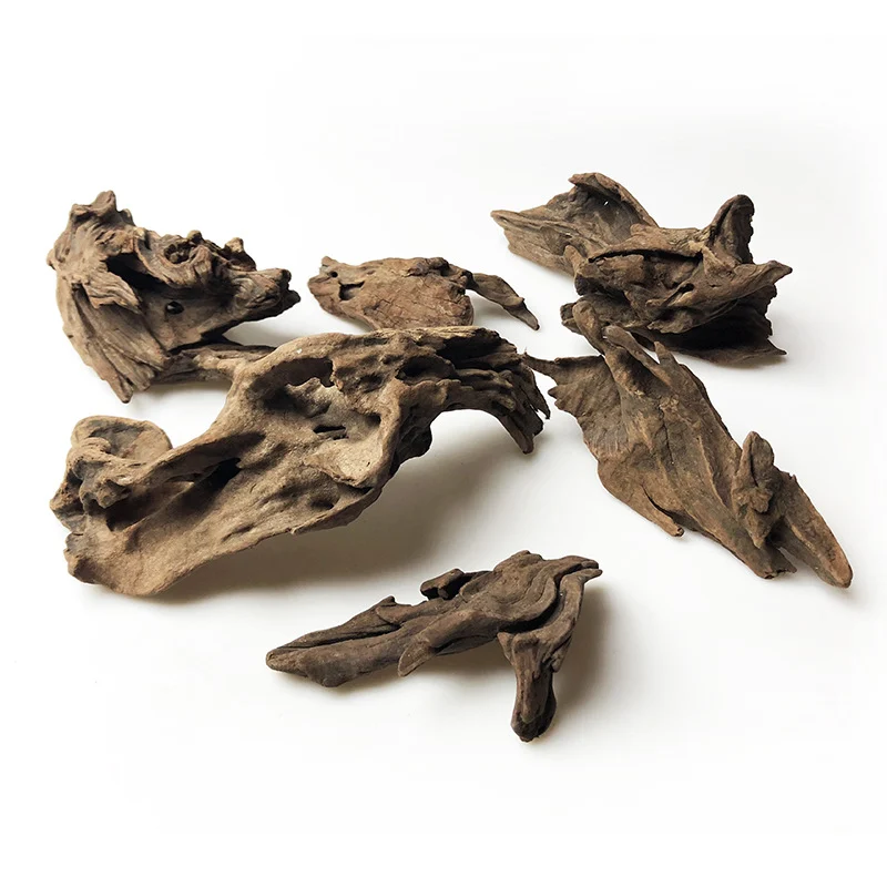 Reptile Driftwood - Image 3