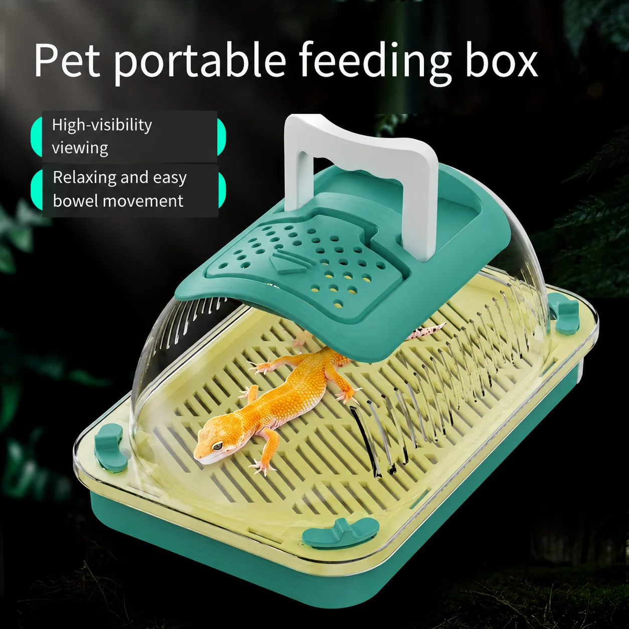 Reptile Shipping Boxes