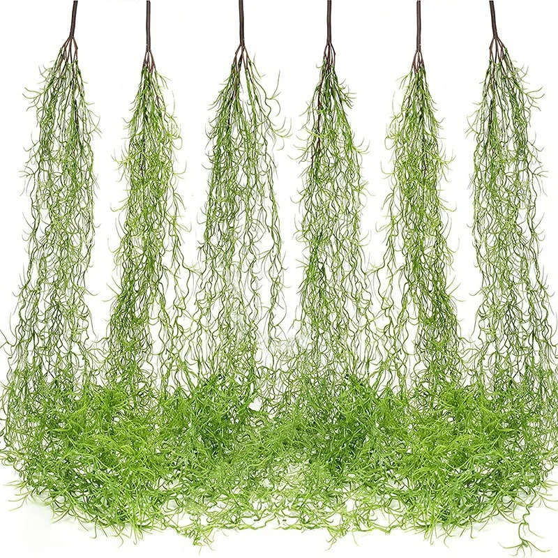 Reptile Vines