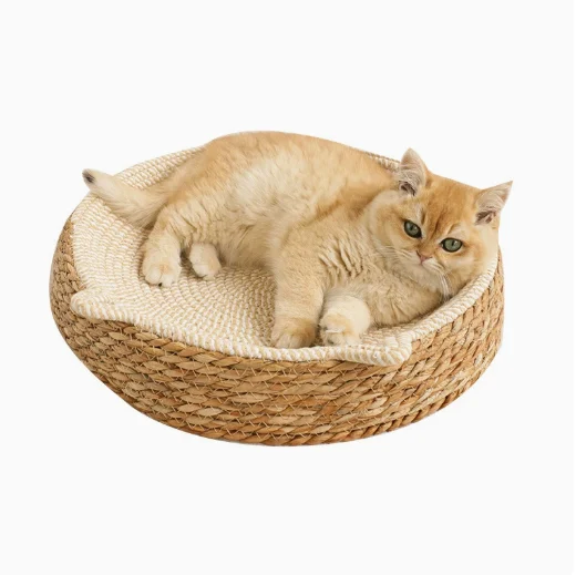 Scratch Board For Cats