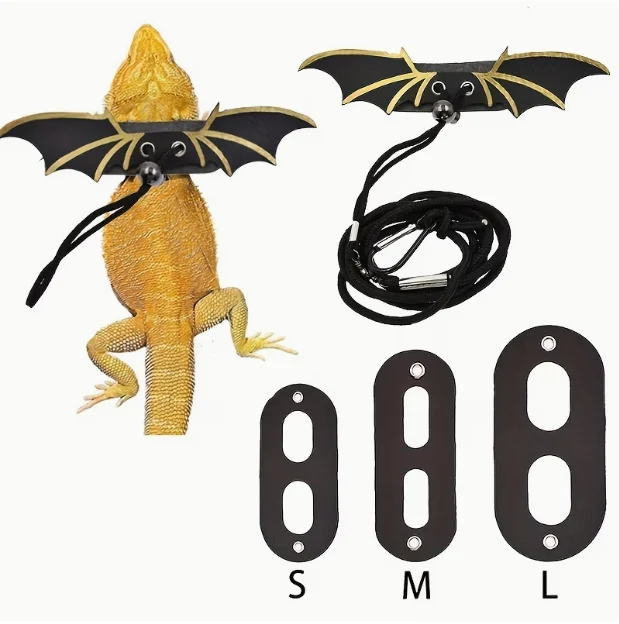 Reptile Leash For Bearded Dragon