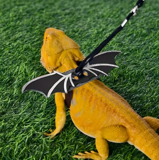 Reptile Leash For Bearded Dragon