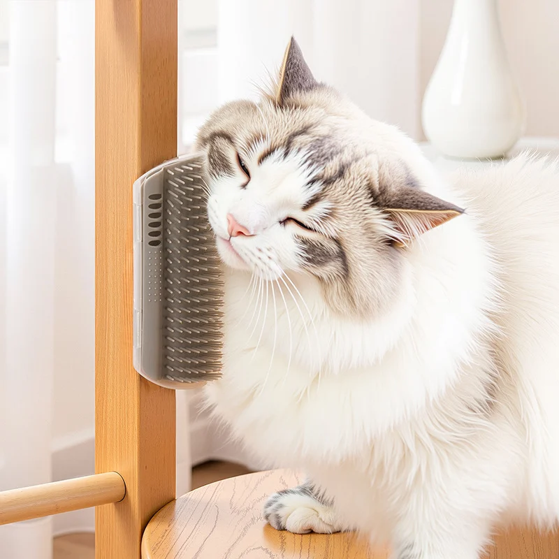 Shedding Brush Cat