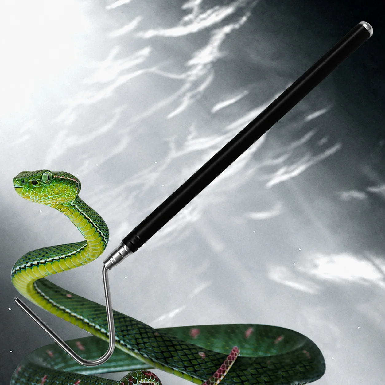 Snake Hook