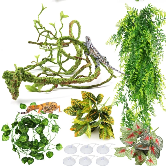 Terrarium Branches - Image 5