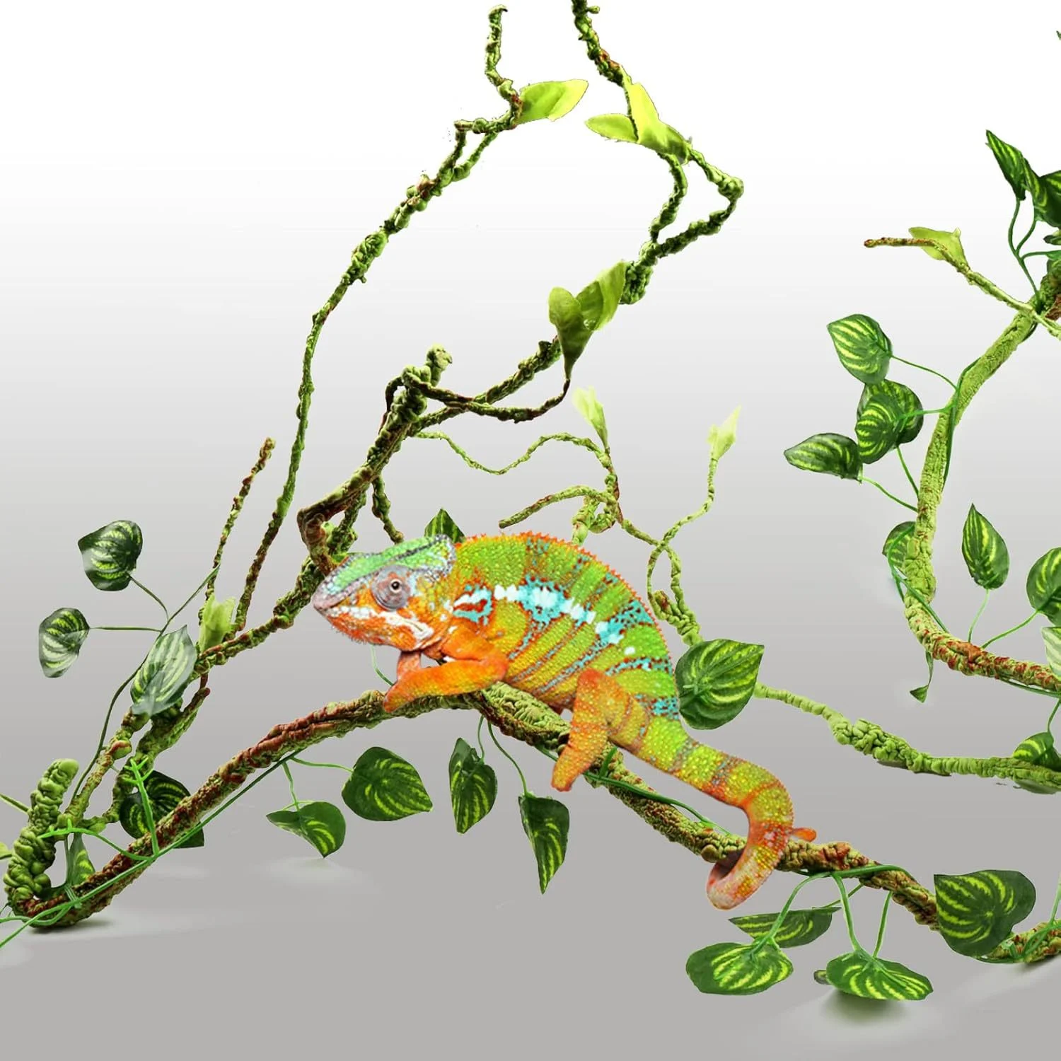 Terrarium Branches