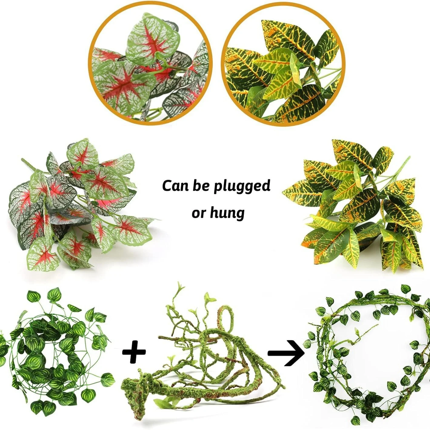 Terrarium Branches - Image 4