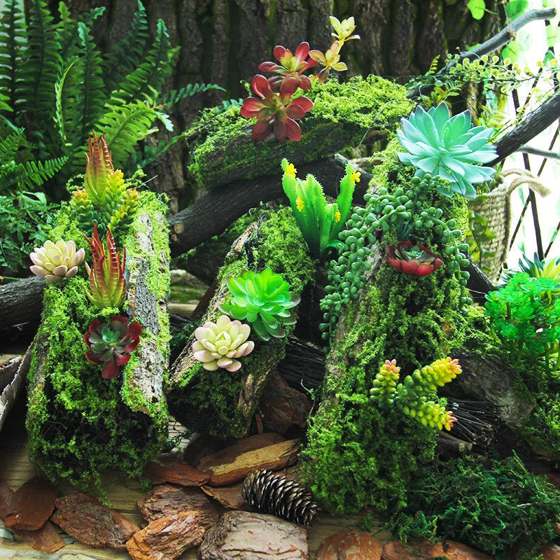 Terrarium Decor