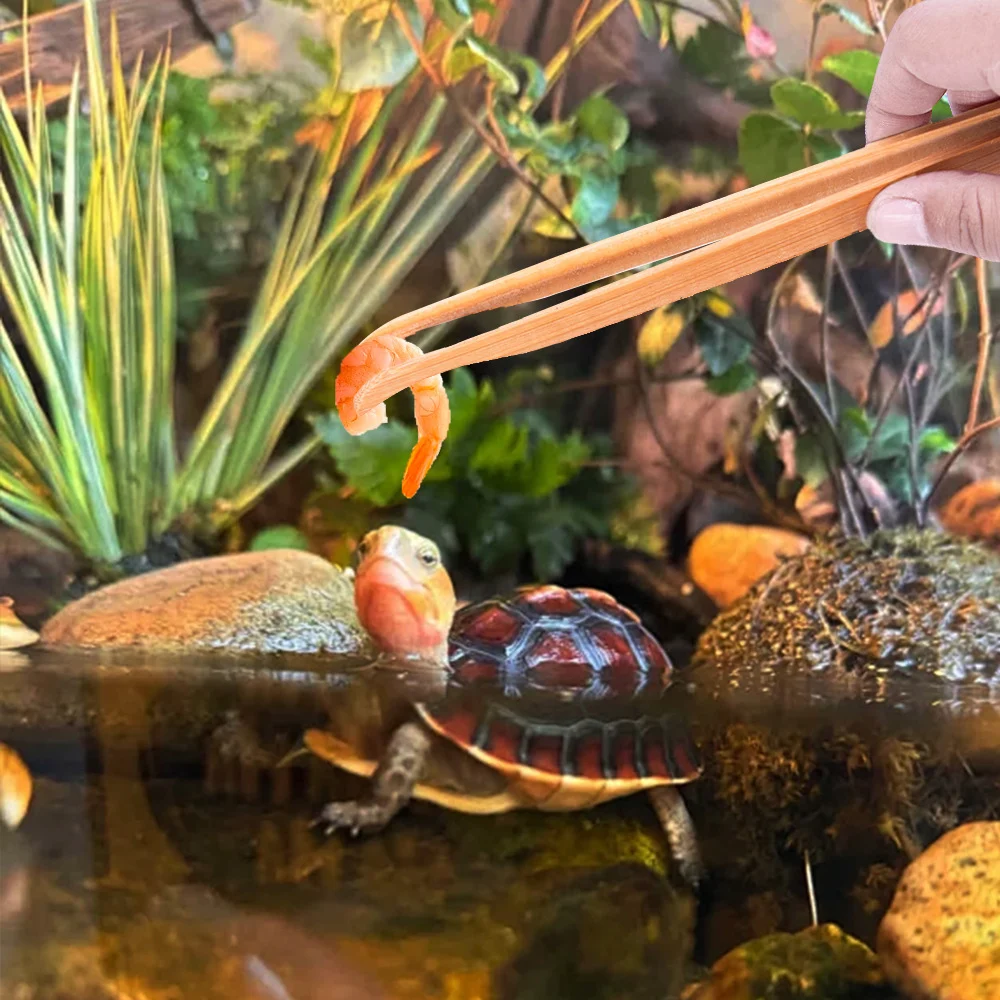 Tongs For Feeding Reptiles