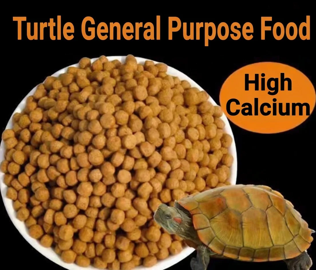 Tortoise Food