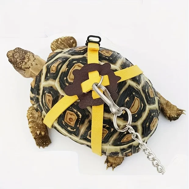 Turtle Leash