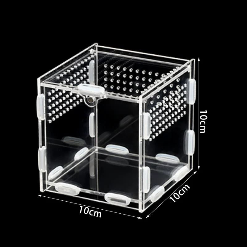 acrylic reptile enclosure