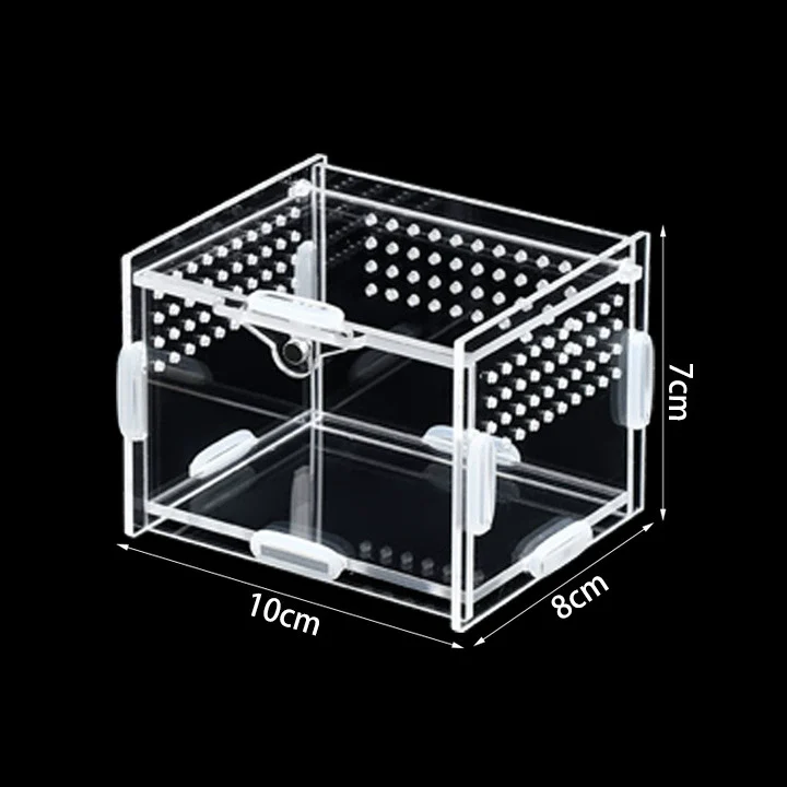 acrylic reptile enclosure