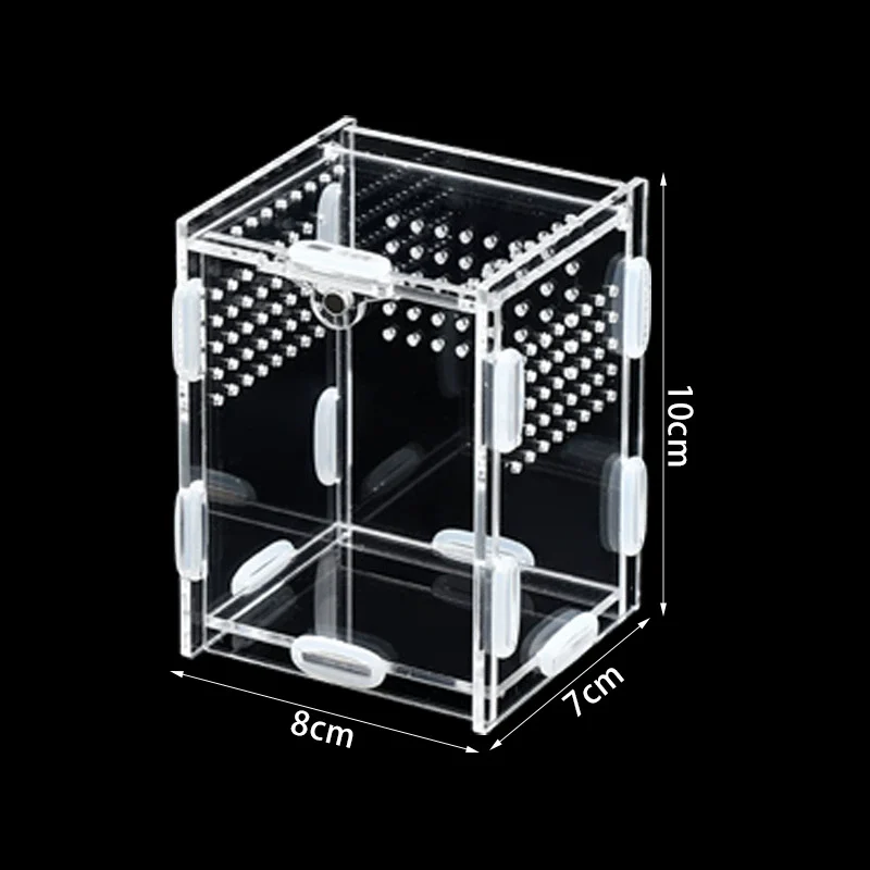 acrylic reptile enclosure