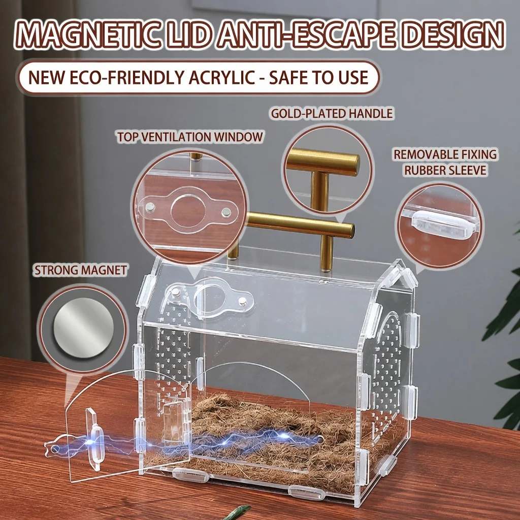 acrylic reptile enclosure