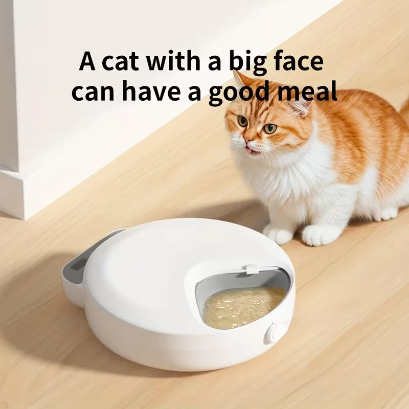 automatic cat feeders for wet food