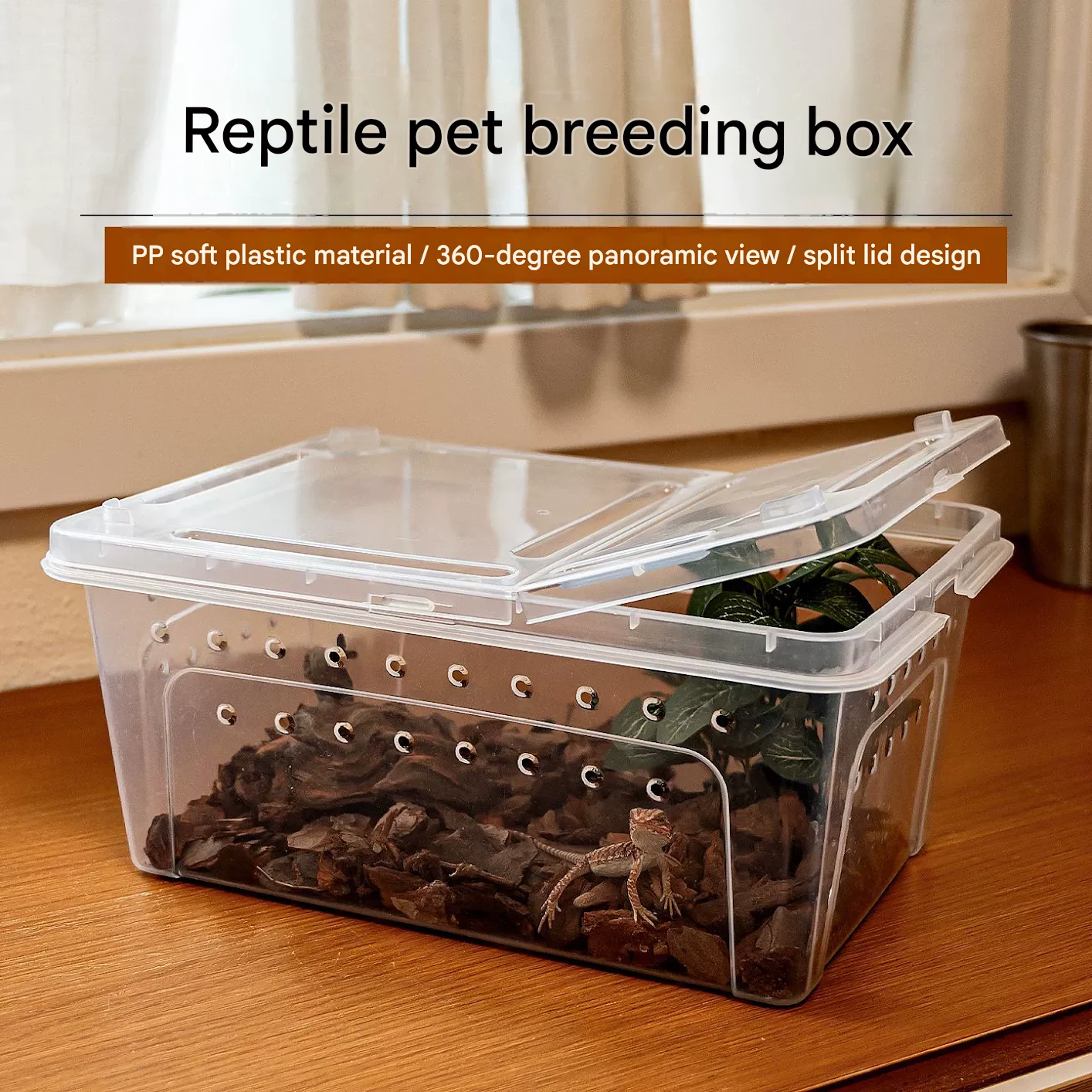bearded dragon reptile enclosure