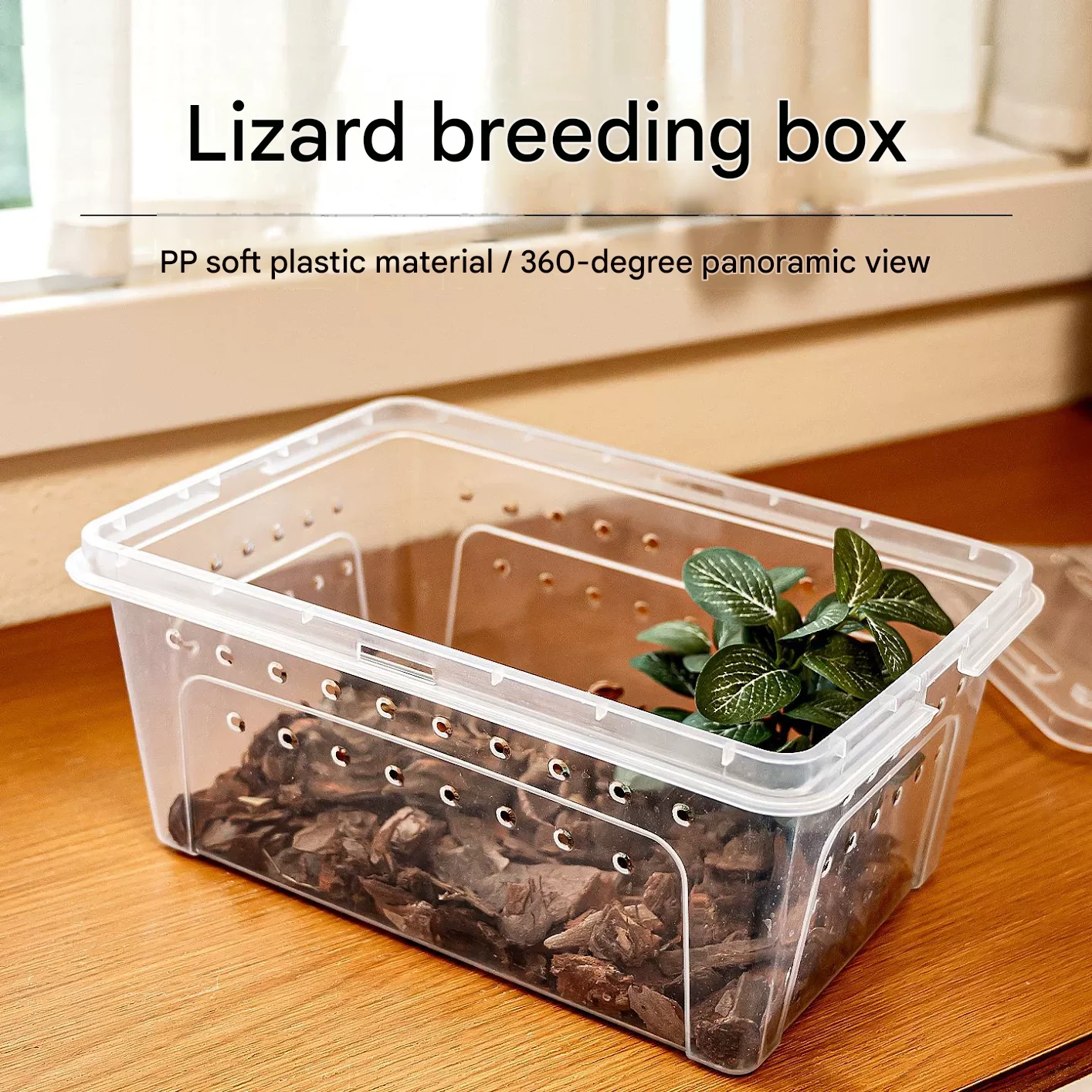 bearded dragon reptile enclosure