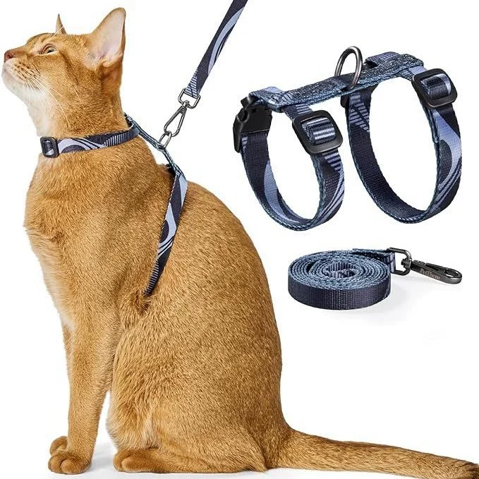 cat harness and leash set