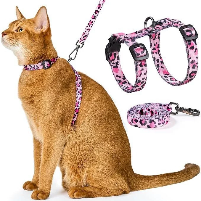 cat harness and leash set