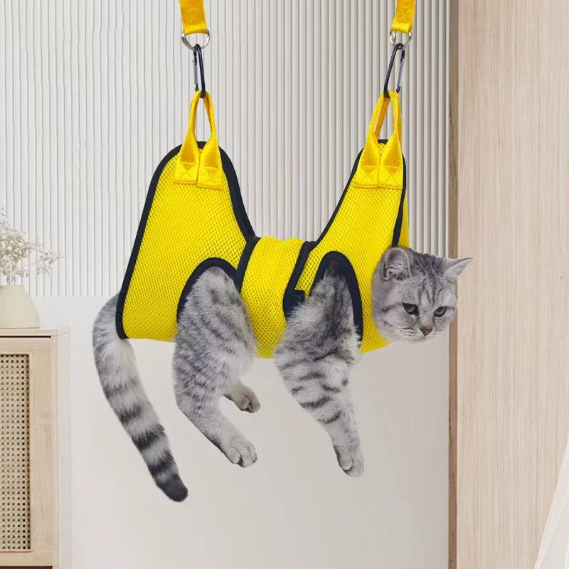 cat harness for nail clipping