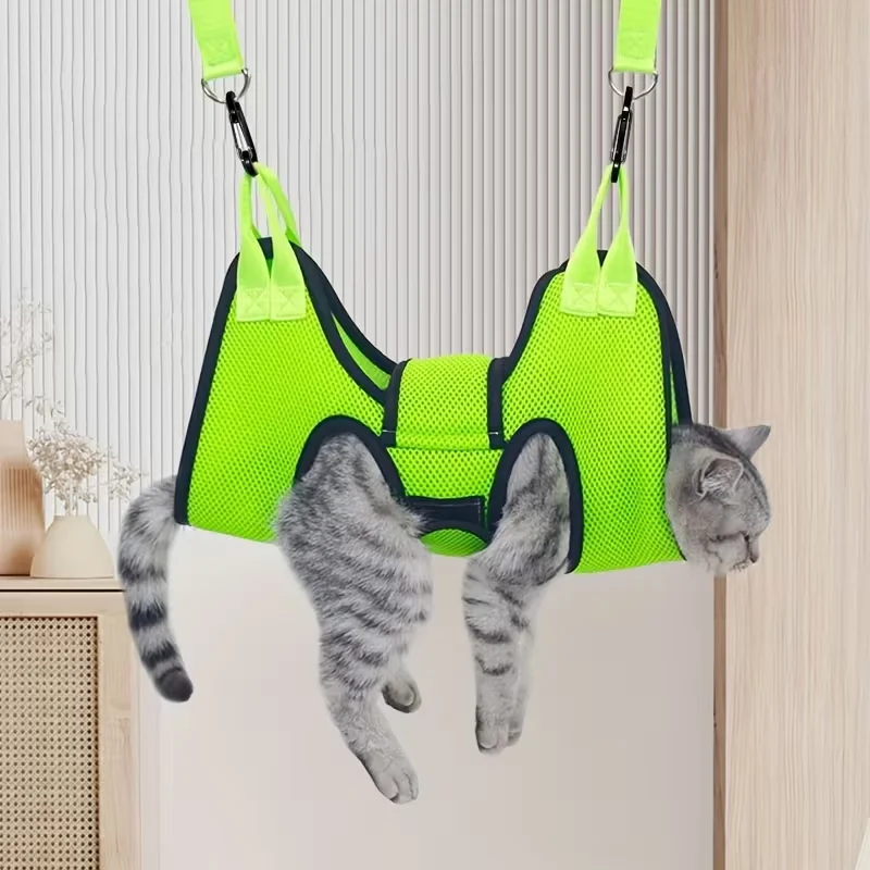 cat harness for nail clipping